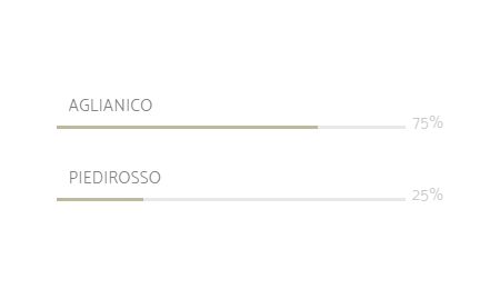 progress_bar_professo